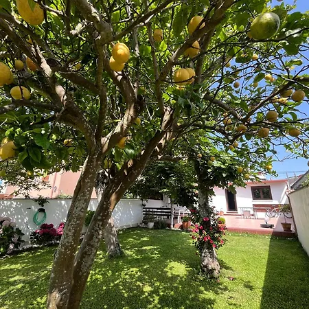 Hébergement de vacances Casa Divarro *