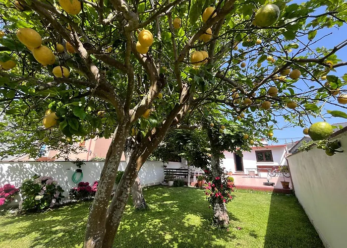 Дом отдыха Casa Divarro *